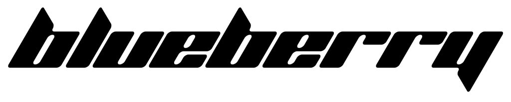 logo scritta blueberry factory